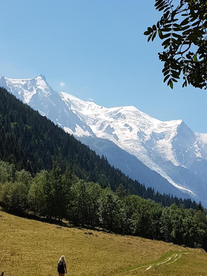 Appartement Typique,Chaleureux Et Pratique Chamonix Mont Blanc Exterior foto